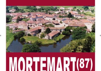 Brocante professionnelle du 1er mars 2026 à Mortemart