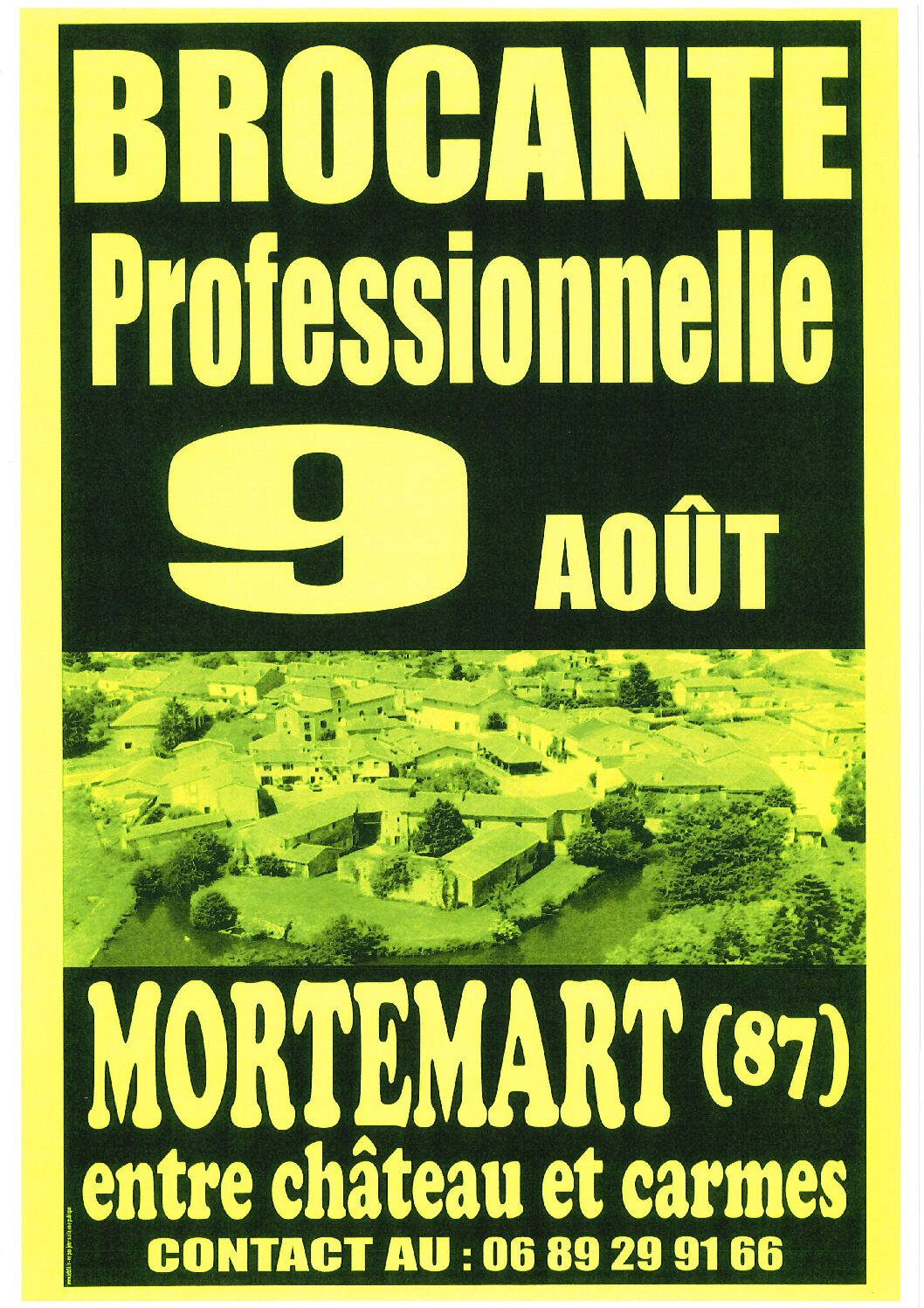 BROCANTE PROFESSIONNELLE LE 9 AOUT